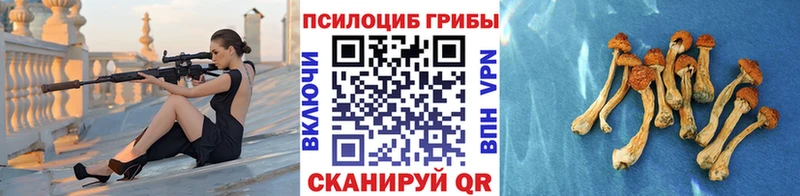 нарко площадка состав  Северобайкальск  Галлюциногенные грибы Cubensis  закладки 
