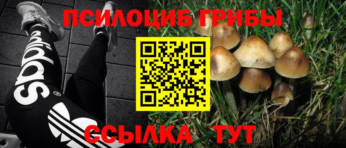 Галлюциногенные грибы Magic Shrooms Северобайкальск